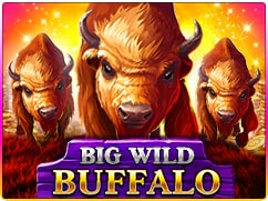 Онлайн слот Big Wild Bufaffalo — Играть в казино Пин Ап